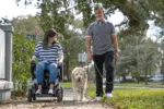 WHILL Model C2/Ci2 Portable Power Wheelchair - Image 13
