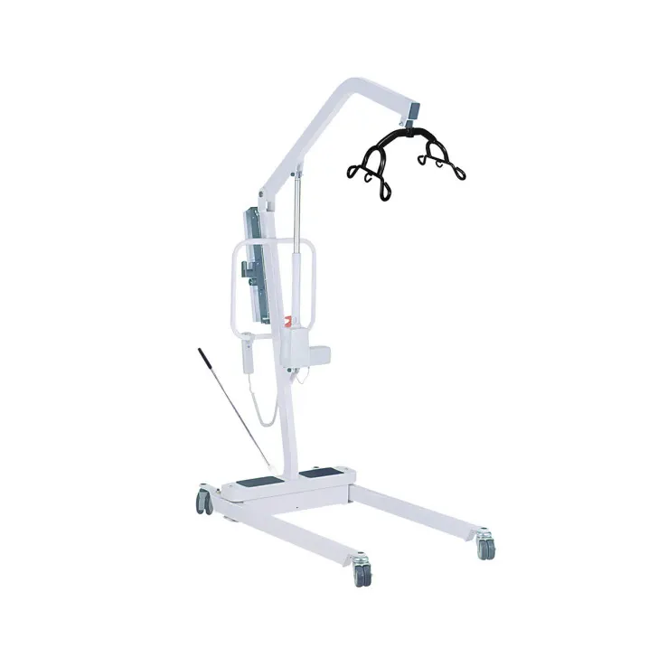 Patient Lifts (Sales)