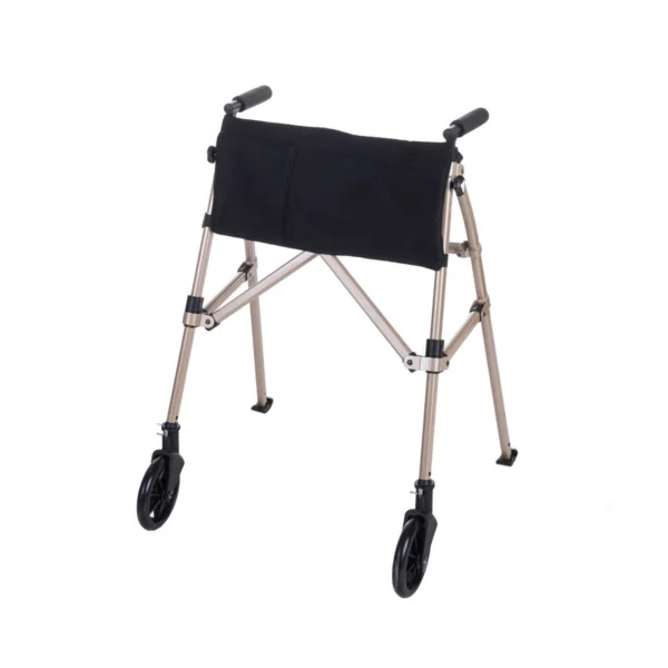 mobility walker