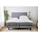 Golden Passport Hi Low Adjustable Bed - Image 2