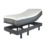 Golden Passport Hi Low Adjustable Bed