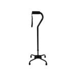 Quad Cane