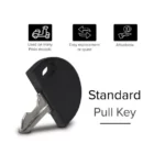 Standard Key for Go-Go and Pride Mobility Scooters - Image 2