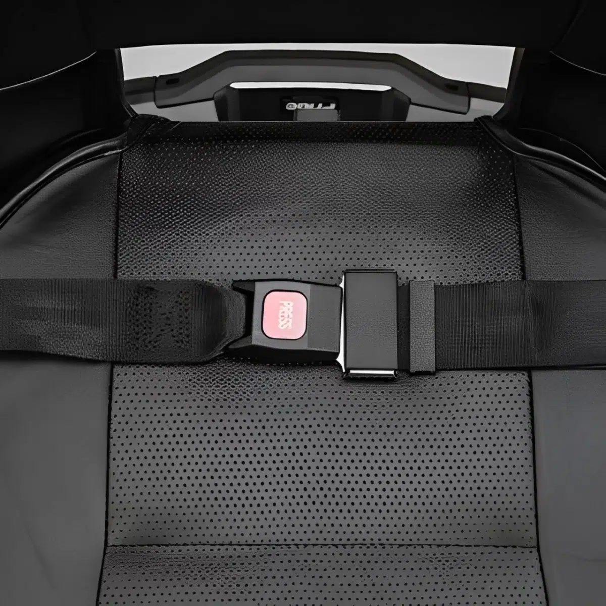50" Lap Belt - Image 2