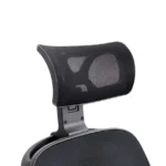 Golden Ally Adjustable Headrest
